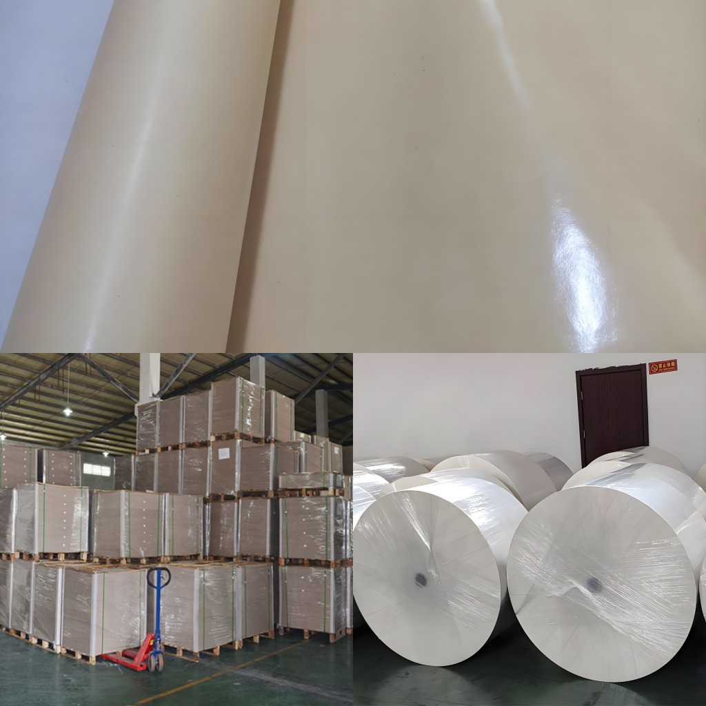 PE coated paper