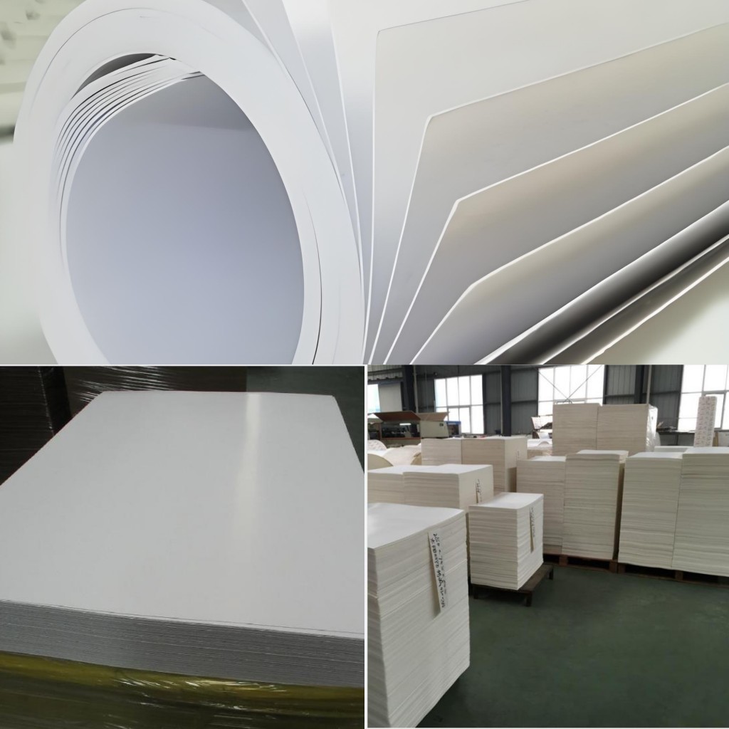 Ivory Board Paper/FBB(GC1,GC2)