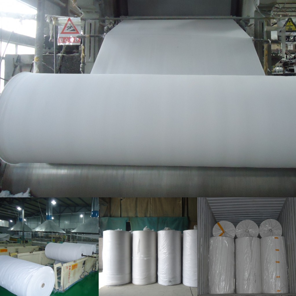 Toilet paper mother roll